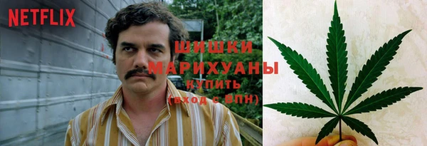 мескалин Новодвинск