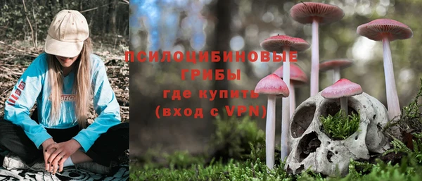 герыч Новокубанск